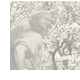 albero fiori