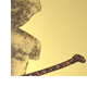 i love music