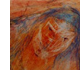 figura raccolta