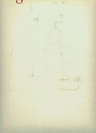 disegno 2c