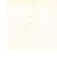 disegno 2c