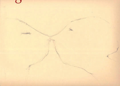 disegno 7c