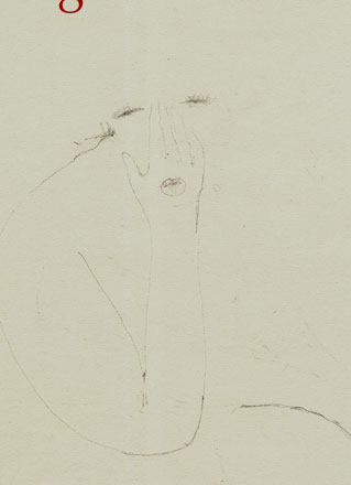 disegno a