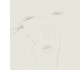 disegno a
