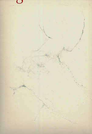 disegno b