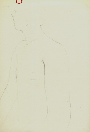 disegno c