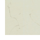 disegno c