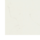 disegno c