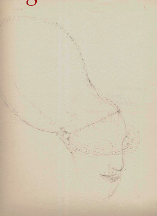 disegno e