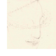 disegno e