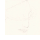 disegno e