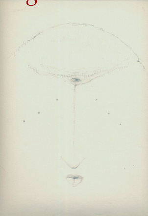 disegno f