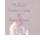 plagio